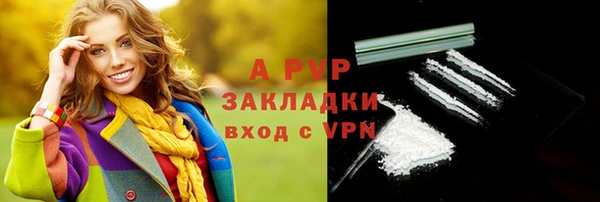 гидра Михайловск