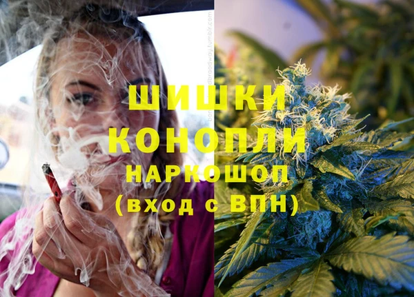 гидра Михайловск