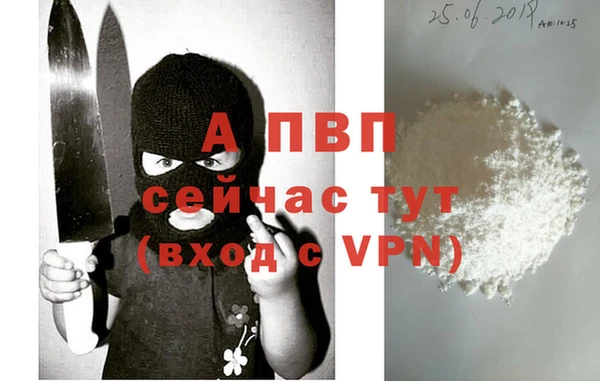 гидра Михайловск