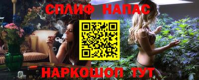 шишки Гай