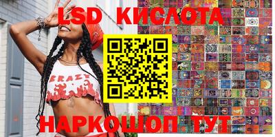 шишки Гай