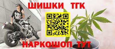 шишки Гай
