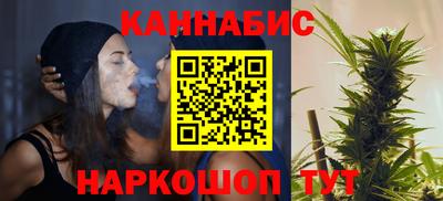 шишки Гай