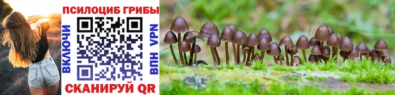 дарнет шоп  Ивантеевка  Галлюциногенные грибы GOLDEN TEACHER 