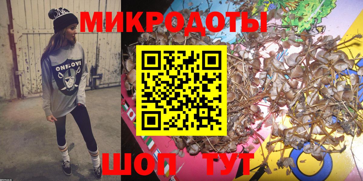 Ивантеевка  Псилоцибиновые грибы прущие грибы  Вход с VPN  Псилоцибиновые грибы мицелий 
